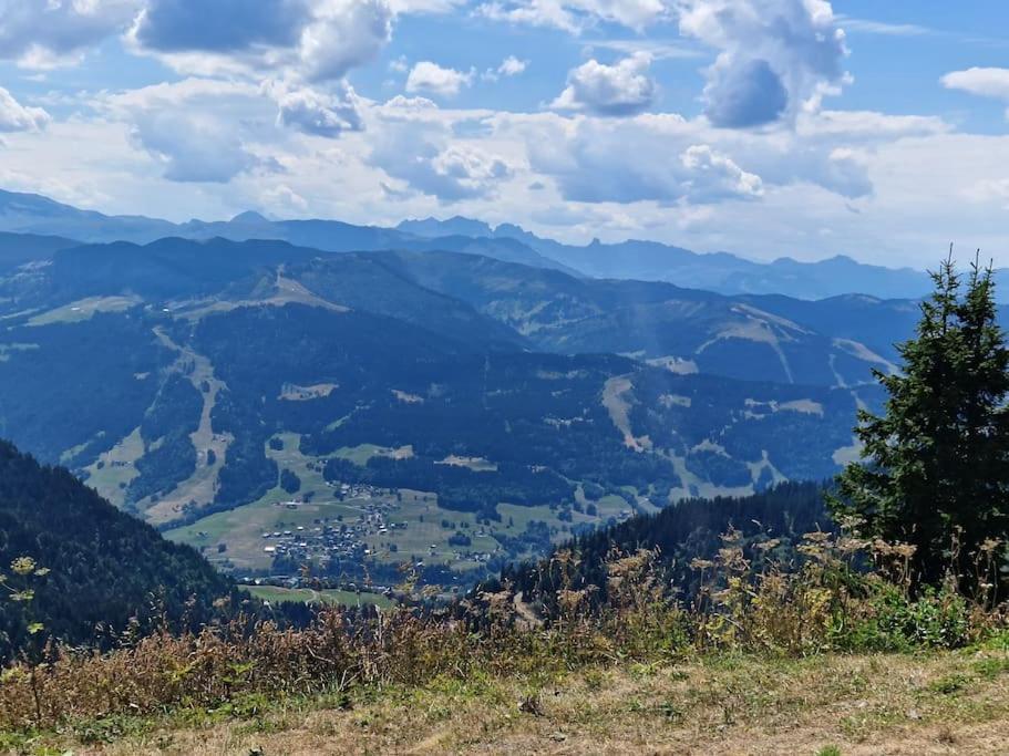 Appartement La Duchere Le Plan-La Giettaz Massif Des Aravis Eksteriør bilde