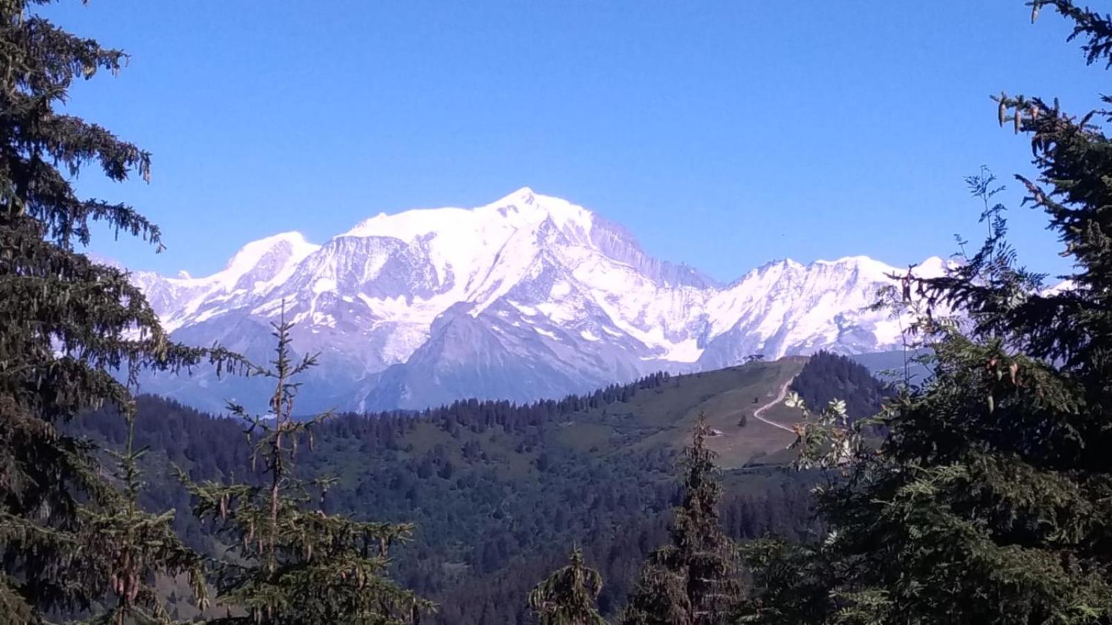 Appartement La Duchere Le Plan-La Giettaz Massif Des Aravis Eksteriør bilde