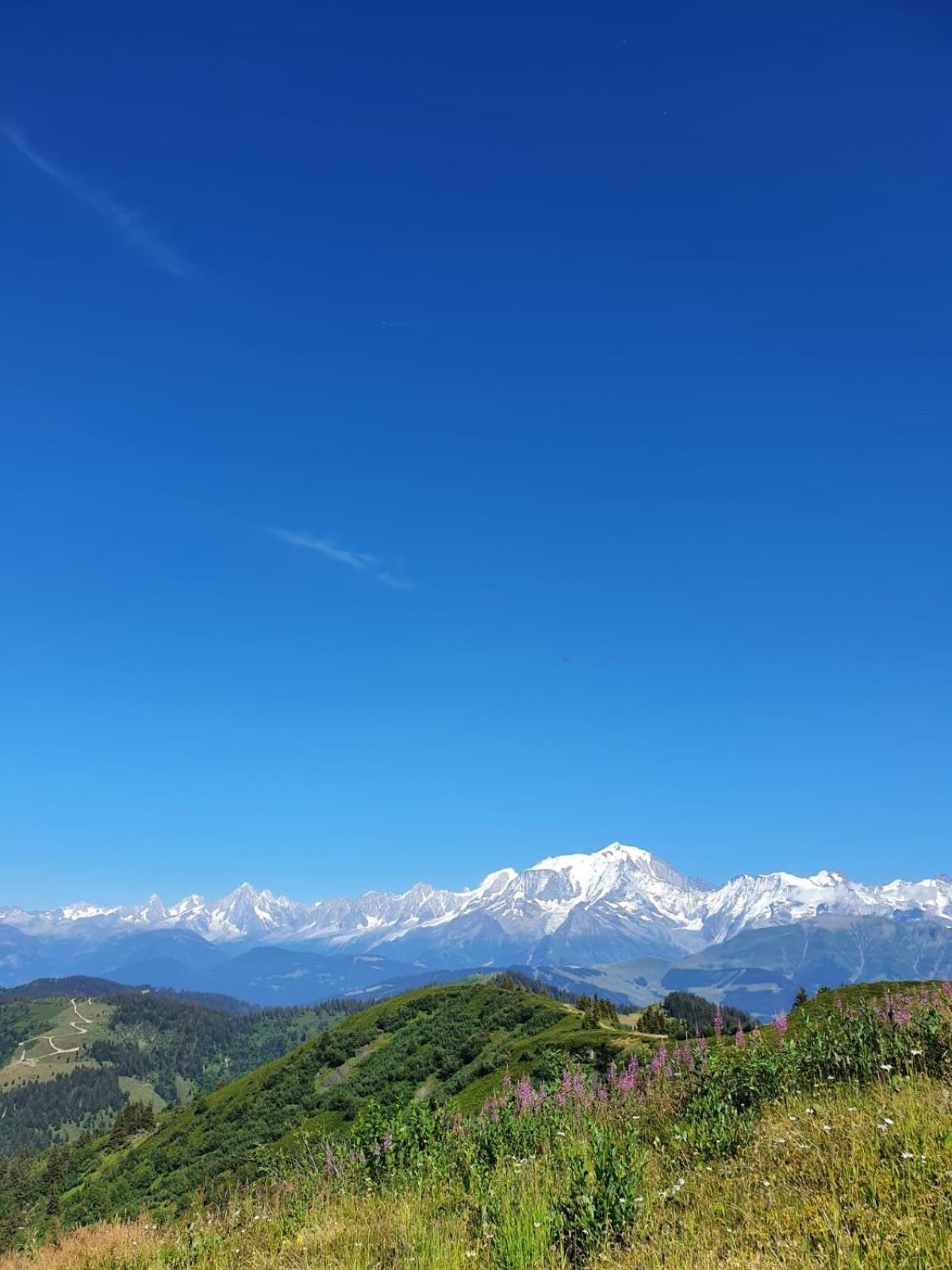 Appartement La Duchere Le Plan-La Giettaz Massif Des Aravis Eksteriør bilde
