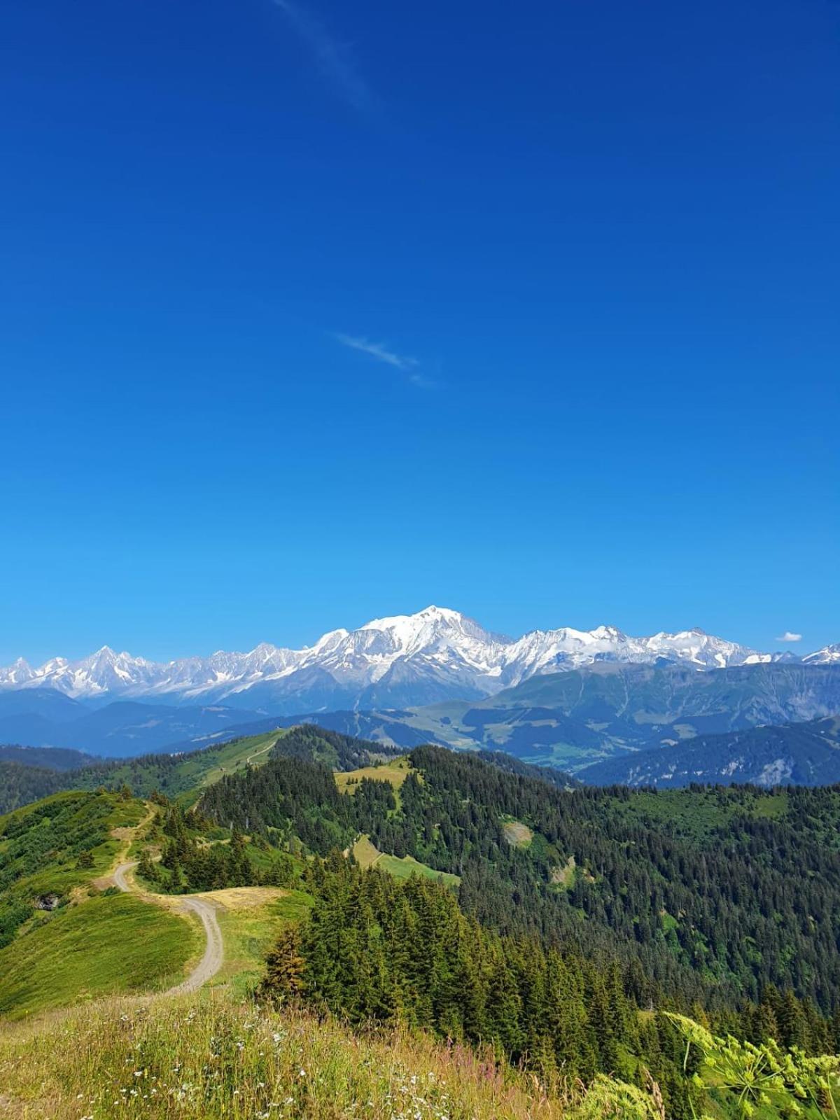 Appartement La Duchere Le Plan-La Giettaz Massif Des Aravis Eksteriør bilde