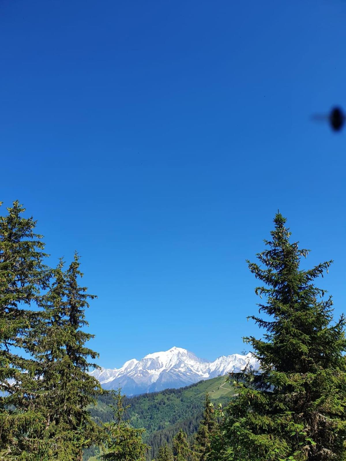 Appartement La Duchere Le Plan-La Giettaz Massif Des Aravis Eksteriør bilde