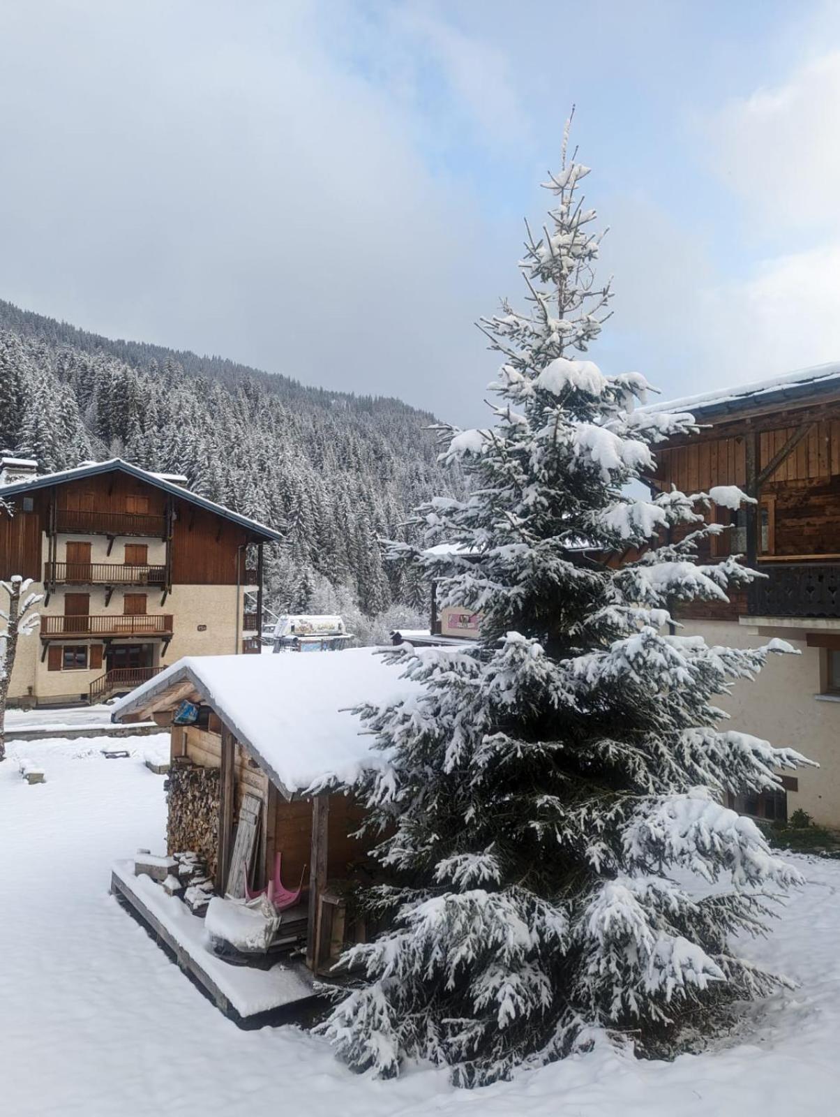 Appartement La Duchere Le Plan-La Giettaz Massif Des Aravis Eksteriør bilde